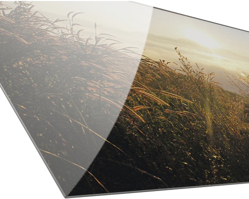 Acrylglasbild mit Landschaftsmotiv