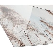 Nahaufnahme einer Acrylglasplatte mit Gräsern