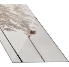 Dekorative Glasplatte mit Schilfgras-Motiv