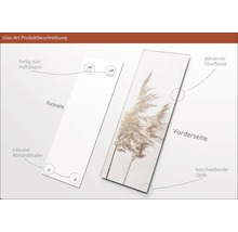 Glasbild mit Schilfmotiv, inklusive Wandhalterung