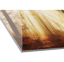 Dekorplatte mit Waldmotiv und Sonnenstrahlen