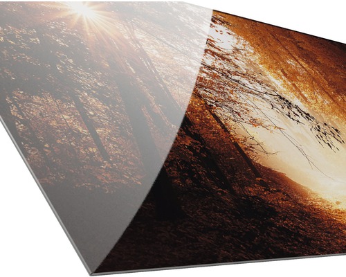 Nahaufnahme eines Waldmotivs auf einer Acrylglasplatte