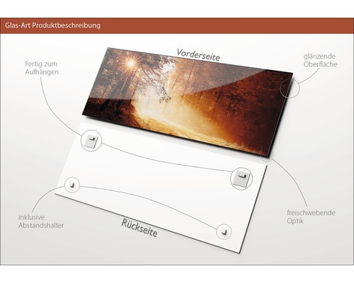 Glasbild mit Waldmotiv, inklusive Abstandshalter und glänzender Oberfläche