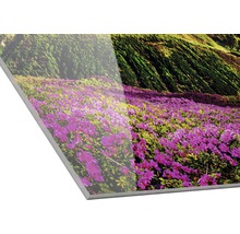 Acrylglasbild mit Blumenwiese und Berglandschaft