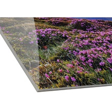 Acrylglasbild mit einer Wiese voller Blumen