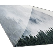Nahaufnahme einer Glasplatte mit dem Aufdruck eines Waldmotivs im Nebel