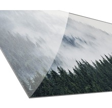 Dekorative Glasplatte mit Waldmotiv