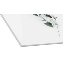 Acrylglasbild mit Eukalyptusmotiv