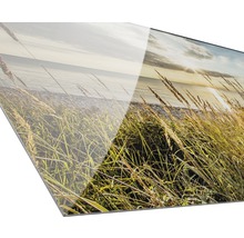 Glasbild Wilder Strand 50x125 cm