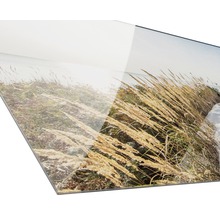 Acrylglasbild mit Gräsern im Feld