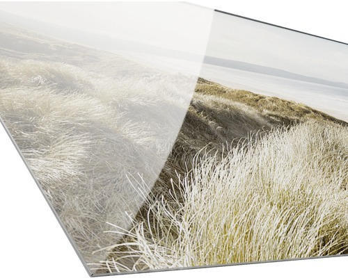 Acrylglasbild einer Dünenlandschaft mit Gräsern