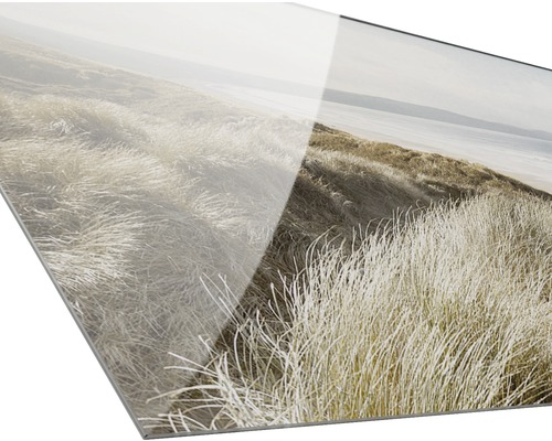 Acrylglasbild einer Dünenlandschaft