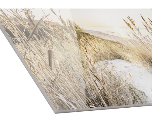 Dekoratives Acrylglasbild mit Strandhafermotiv
