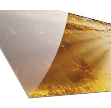 Alu-Dibond-Platte mit Waldmotiv