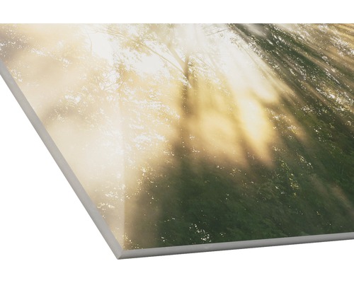 Dekorplatte mit Waldmotiv und Sonnenschein