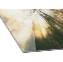 Dekorplatte mit Waldmotiv und Sonnenschein