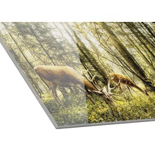 Acrylglasbild mit einem Hirsch und einem Reh im Wald
