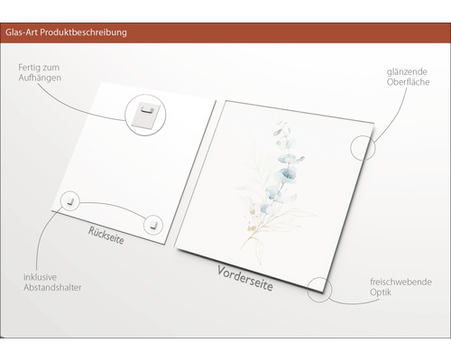 Glasbild Produktbeschreibung: Vorderseite mit Pflanzenmotiv, glänzende Oberfläche, freischwebende Optik. Rückseite mit Aufhängung und Abstandshalter.