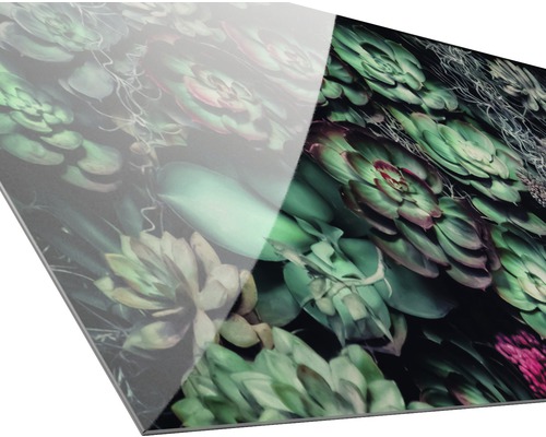 Dekorplatte mit Sukkulentenmuster