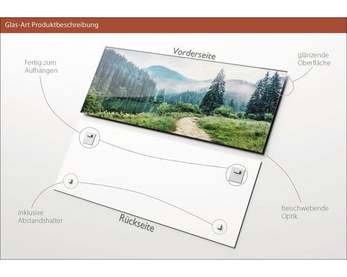 Glasbild mit Waldmotiv, inklusive Abstandshalter für die Wandmontage, mit glänzender Oberfläche