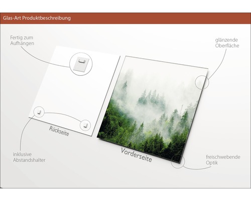 Glasbild mit Waldmotiv, inklusive Abstandshalter, zur einfachen Aufhängung