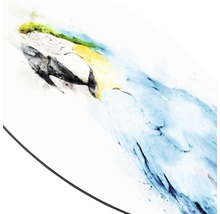 Glasbild rund Papagei Ø 50 cm