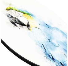 Glasbild rund Papagei Ø 20 cm