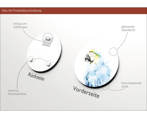 Glasbild mit Papageienmotiv, Rückseite mit Aufhängung und Abstandshaltern