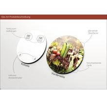 Produktbeschreibung Glasbild mit Gemüse-Motiv, inklusive Wandhalterung