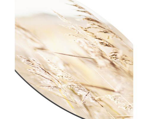 Dekoratives Bild von Grasähren