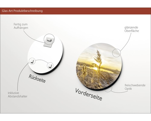 Glasbild Produktbeschreibung mit Aufhängevorrichtung, Abstandshalter und glänzender Oberfläche
