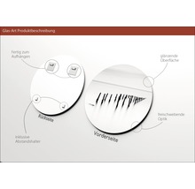 Produktbeschreibung Glasbild: Rückseite mit Halterungen zum Aufhängen und Abstandshalter inklusive, Vorderseite mit glänzender Oberfläche und freischwebender Optik