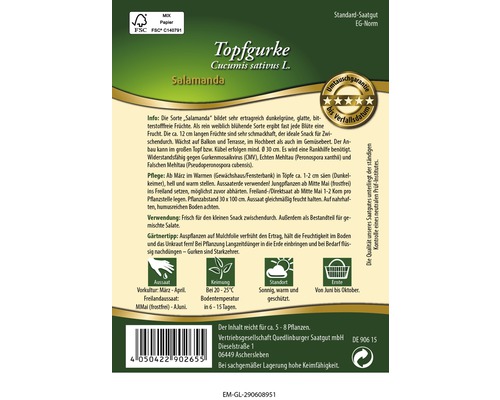 Samenpackung Topfgurke Salamanda