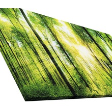 Leinwanddruck mit Waldmotiv und Sonnenschein