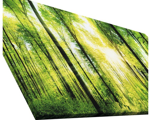Leinwanddruck mit Waldmotiv und Sonnenschein