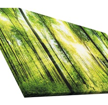 Giclée Leinwandbild Forest Feeling II 80x160 cm