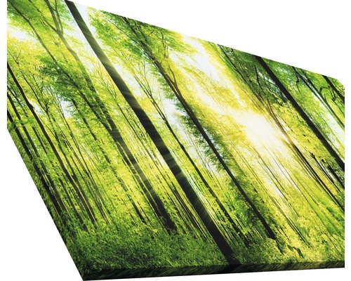 Wandbild mit Waldmotiv und Sonnenlicht