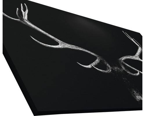 Dekoratives Wandbild mit Hirschgeweih-Motiv