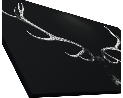 Dekoratives Wandbild mit Hirschgeweih-Motiv