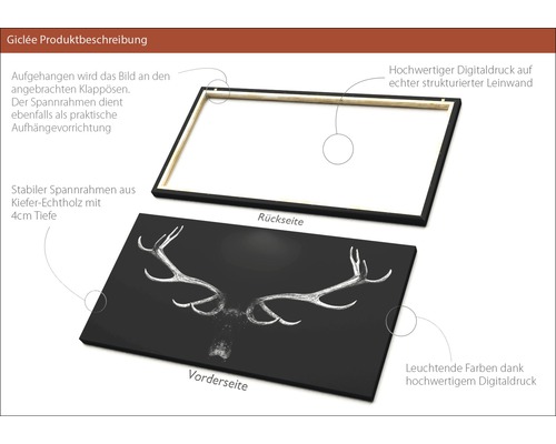 Produktbeschreibung Giclée-Druck auf Leinwand mit Hirschgeweih-Motiv und Rahmenrückseite