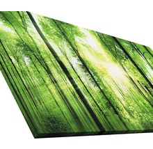 Wandbild mit Waldmotiv und Sonneneinstrahlung