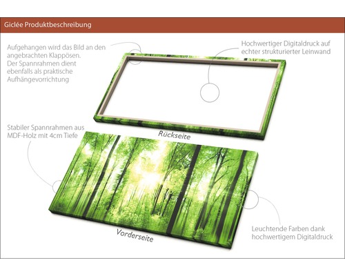 Illustration eines Leinwandbildes mit Waldmotiv, das die Vorderseite und Rückseite mit einem Rahmen aus Holzwerkstoff zeigt