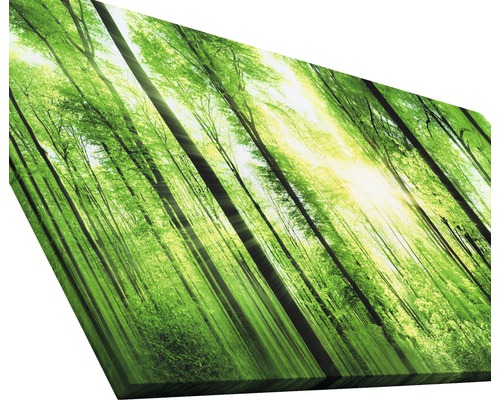 Wandbild mit Waldmotiv und Sonneneinstrahlung