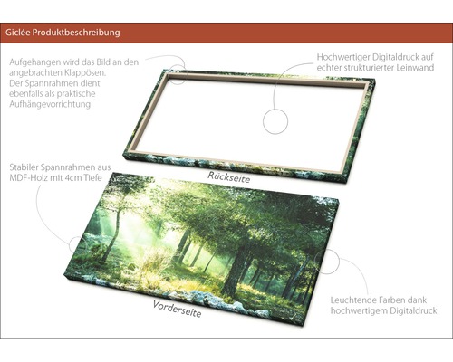 Leinwandbild mit Waldmotiv, Vorder- und Rückseite