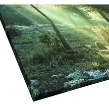 Giclée Leinwandbild Forest Harmony Vl 100x100 cm