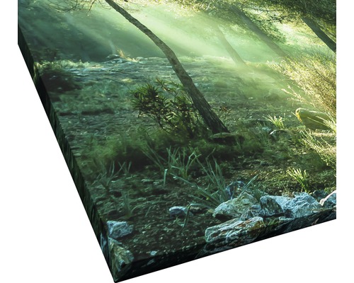 Leinwanddruck mit Waldmotiv und Sonnenstrahlen