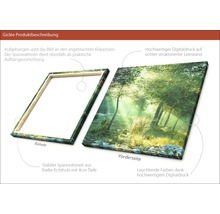 Giclée Leinwandbild Forest Harmony Vl 100x100 cm