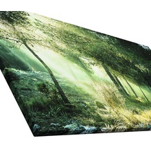 Giclée Leinwandbild Forest Harmony Vl 80x160 cm
