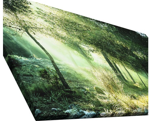 Waldlandschaft auf Leinwand