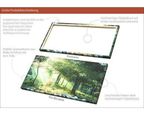 Leinwandbild mit Waldmotiv, Vorder- und Rückseite